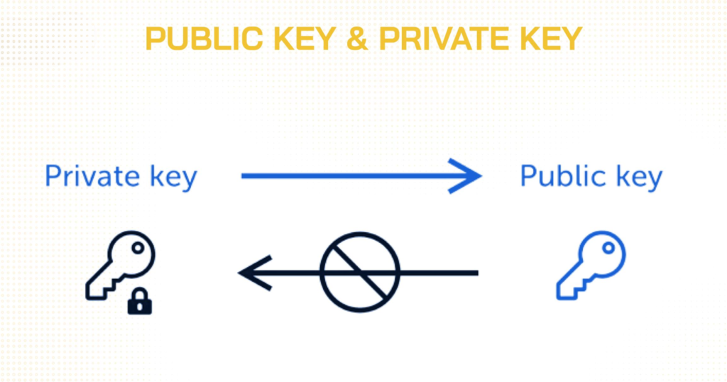 BUSINESS MODEL OF CRYPTO EXCHANGE 16 2