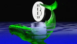 Bitcoin, Rally