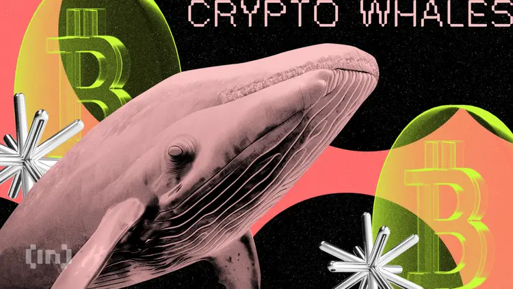 Whale Crypto Moves in Uptober: What Big Players Are Betting On Whale Crypto